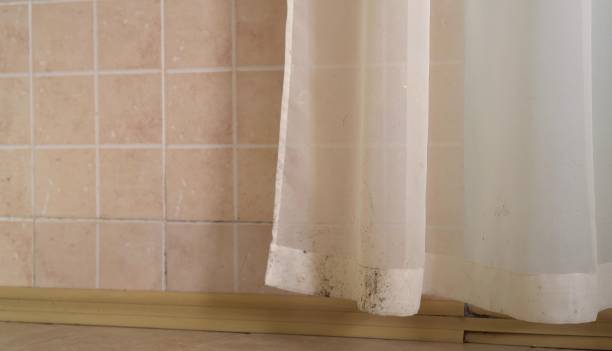 Best Mold Prevention Services  in Wolcott, IN