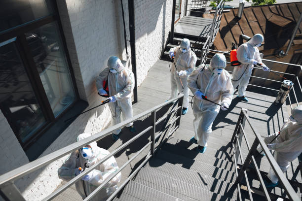 Mold Remediation for Rental Properties in Wolcott, IN