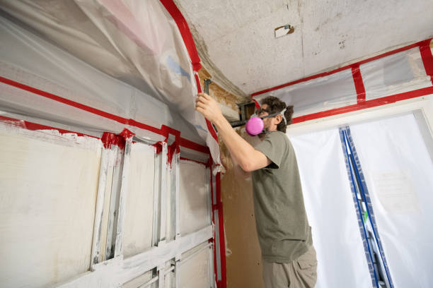 Best Biohazard Mold Removal  in Wolcott, IN