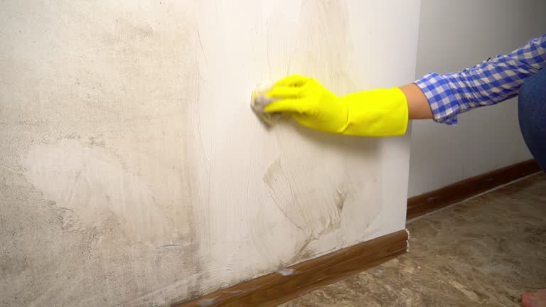 Best Air Quality Testing for Mold Spores  in Wolcott, IN