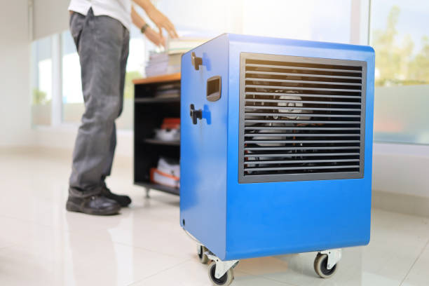 Best Indoor Air Quality Assessment  in Wolcott, IN