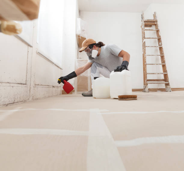 Best Mold Damage Restoration  in Wolcott, IN
