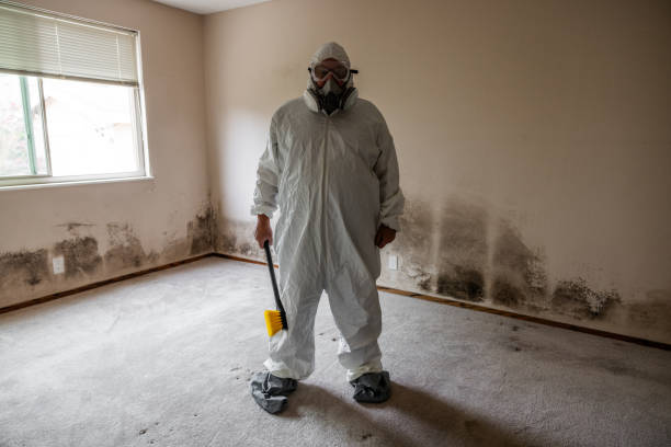 Best Residential Mold Inspection & Testing  in Wolcott, IN